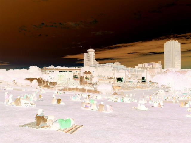 Lavender Grass and The Coffee Strewn Sky